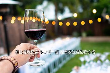 京華盛世酒多少錢一瓶_京華盛世酒業價格_京華盛世53度醬香型酒價格