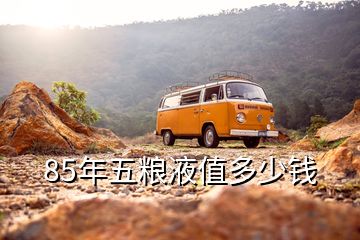 85年五糧液_五糧液年產多少噸_五糧液年份怎么看