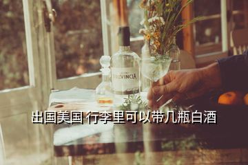 白酒坐飛機可以帶嗎_飛機能帶酒嗎白酒_飛機可以攜帶白酒登機嗎